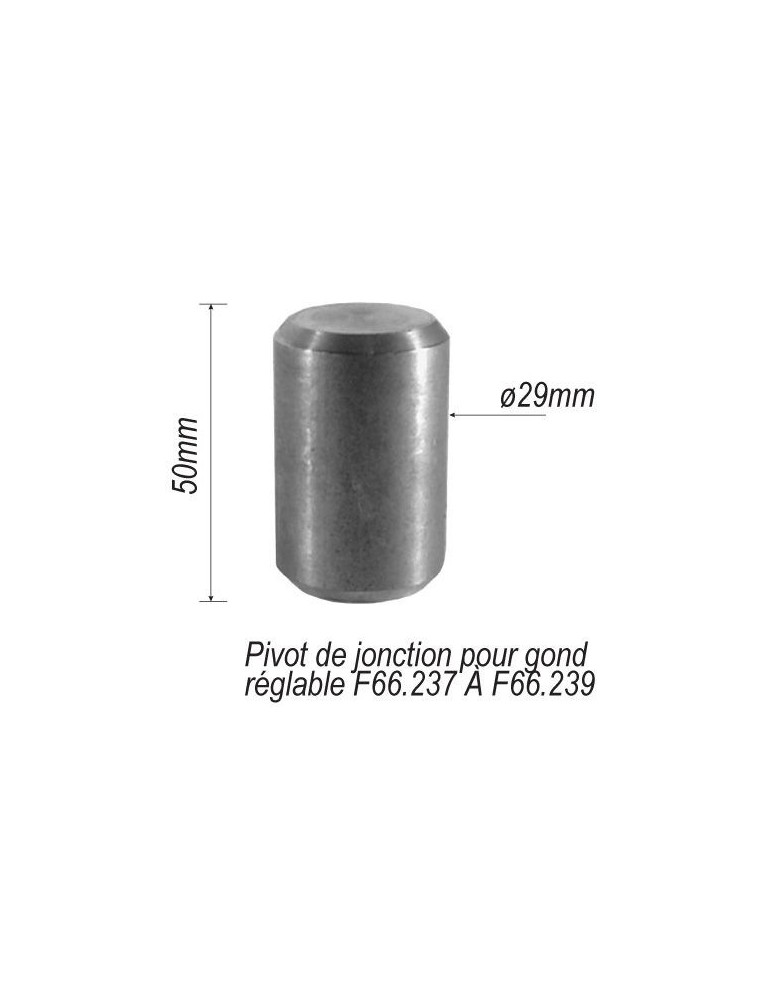 pièce élément ferronnier serrurier Pivot de jonction pour portail Longueur 50 Diamètre 29 ACIER Ref: F66.248