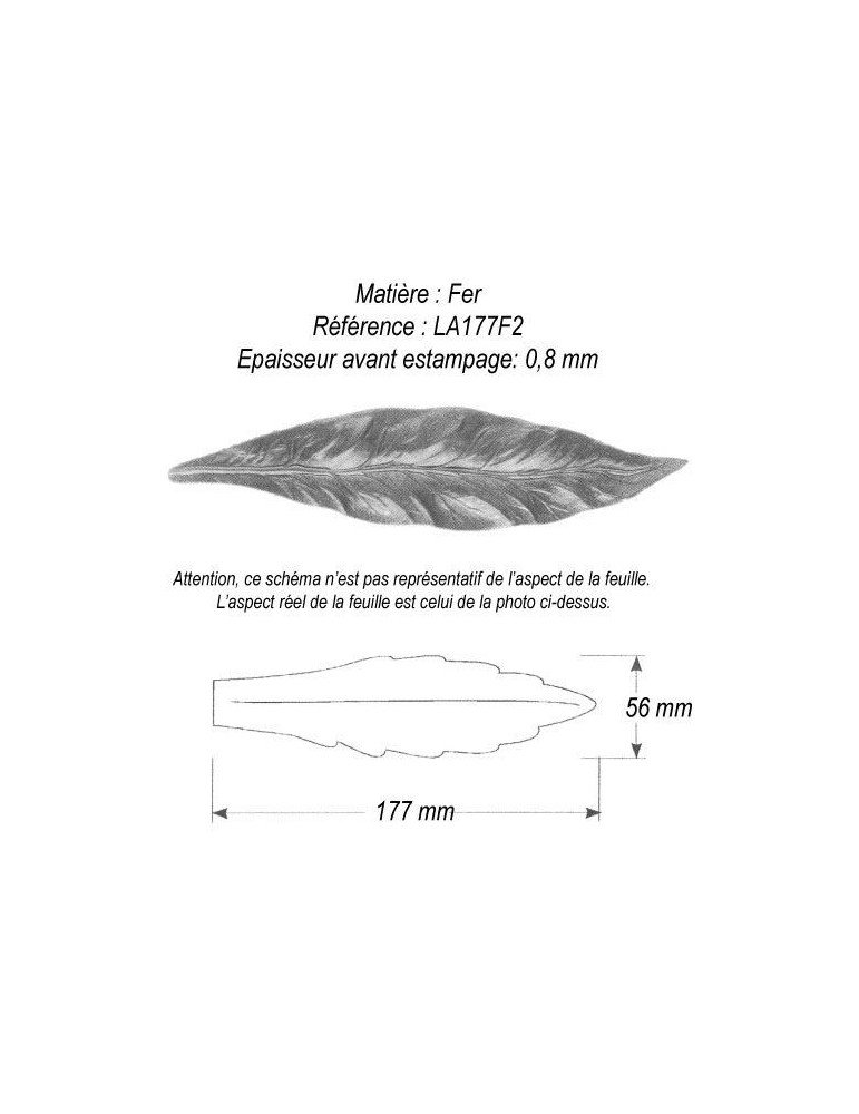 pièce élément ferronnier serrurier Feuille de Laurier 177 x 56 ACIER Ref: GLA177F2